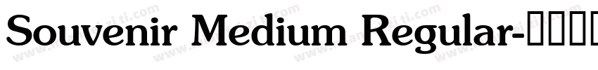 Souvenir Medium Regular字体转换
